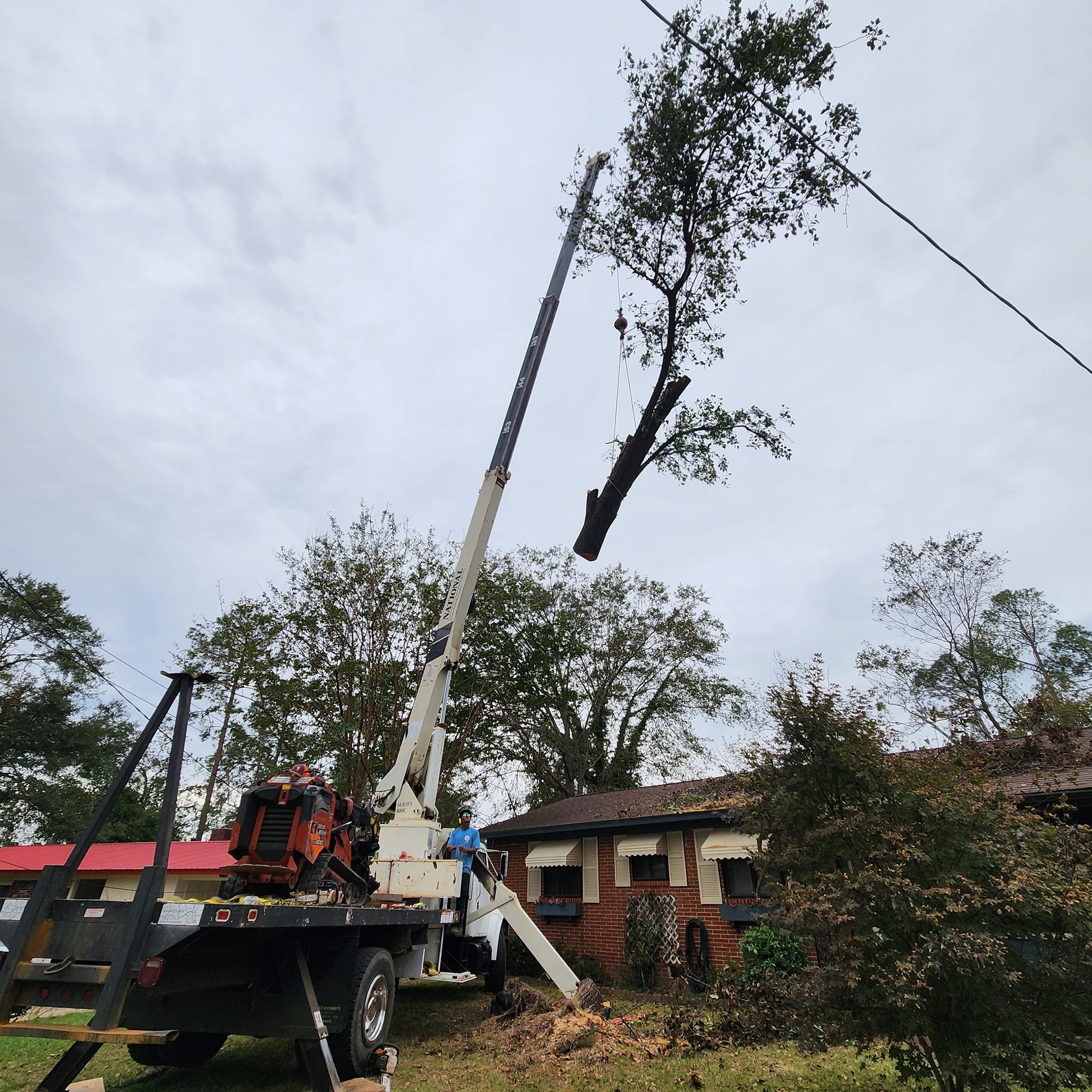 Tree being removed from home.