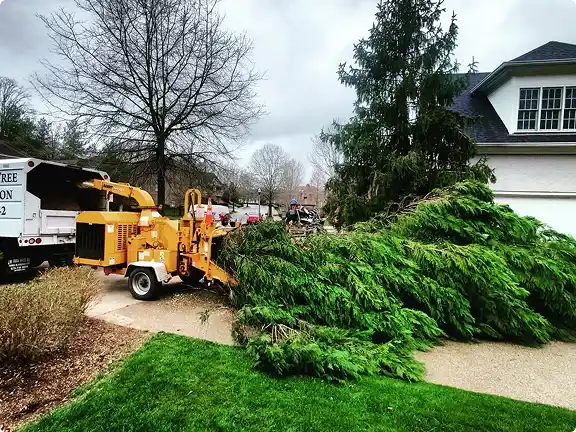 Professional tree removal crew using wood chipper to clear fallen tree branches in a residential neighborhood in Nashville, TN